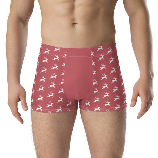 Bearboxers Valentines Christmas Boxer Briefs Red