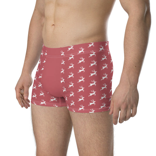 Bearboxers Valentines Christmas Boxer Briefs Red